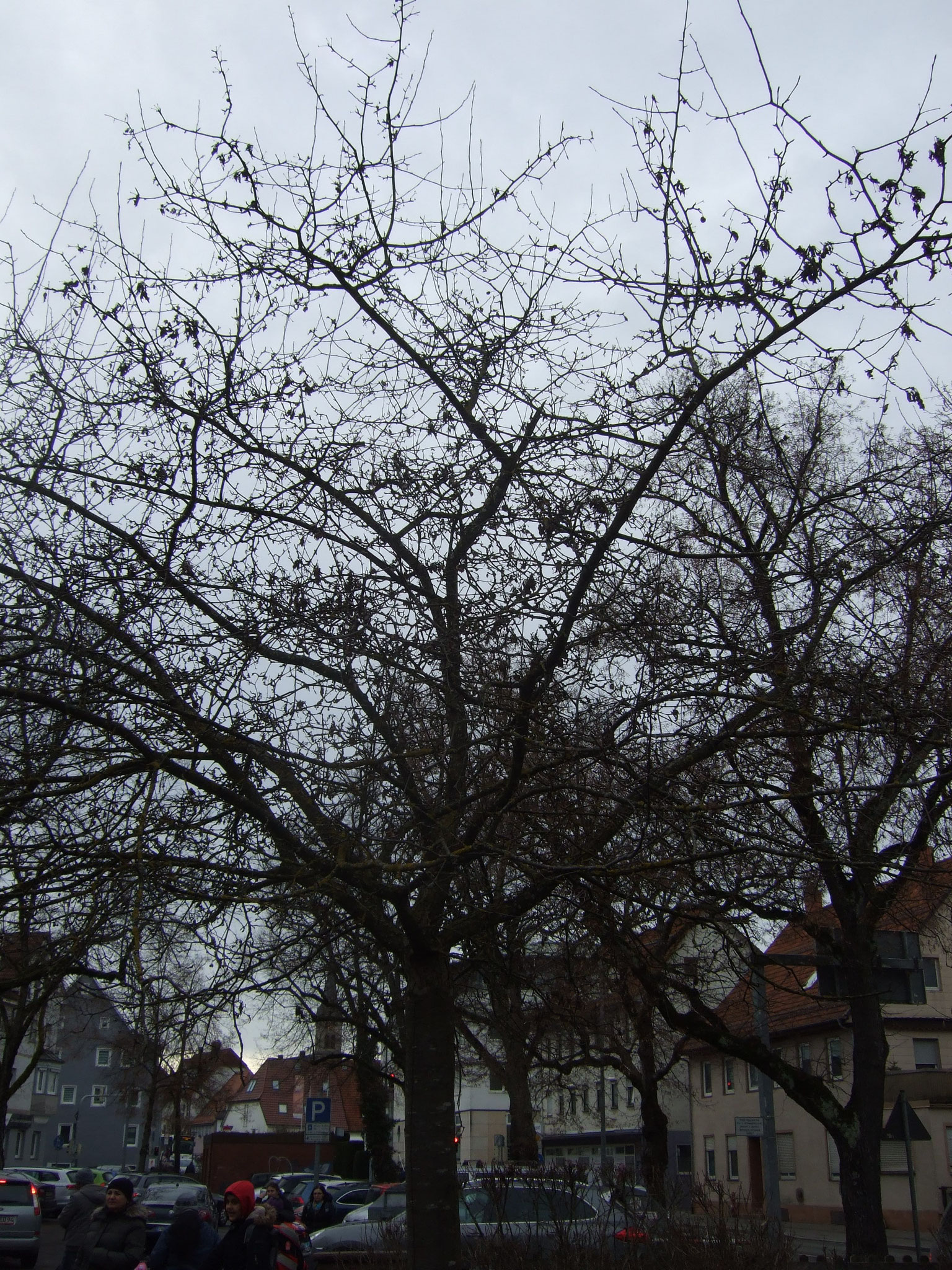 Januar